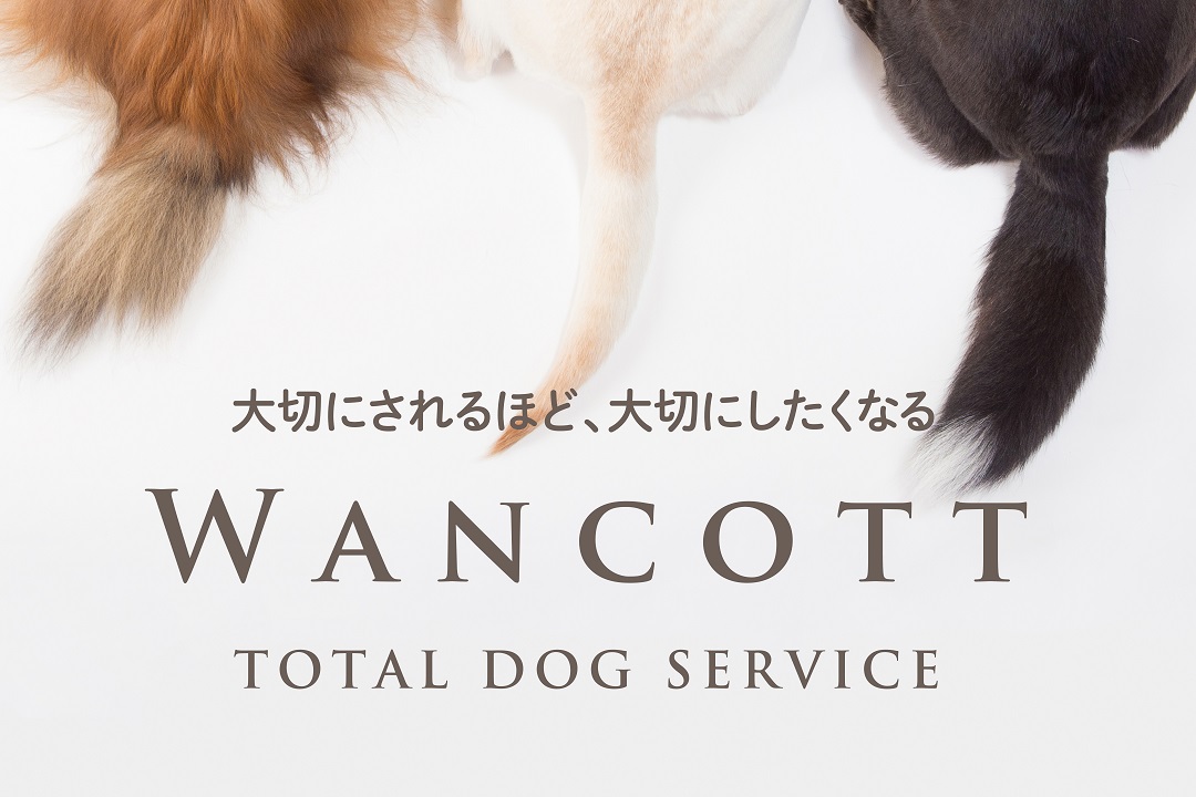 wancott_poster_fix_ol