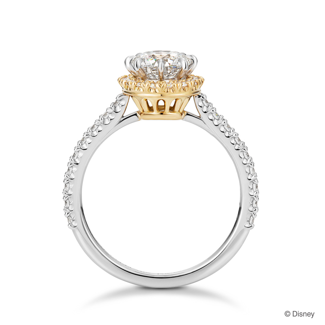 Disney100】ディズニープリンセスをモチーフにしたプレミアムな婚約 
