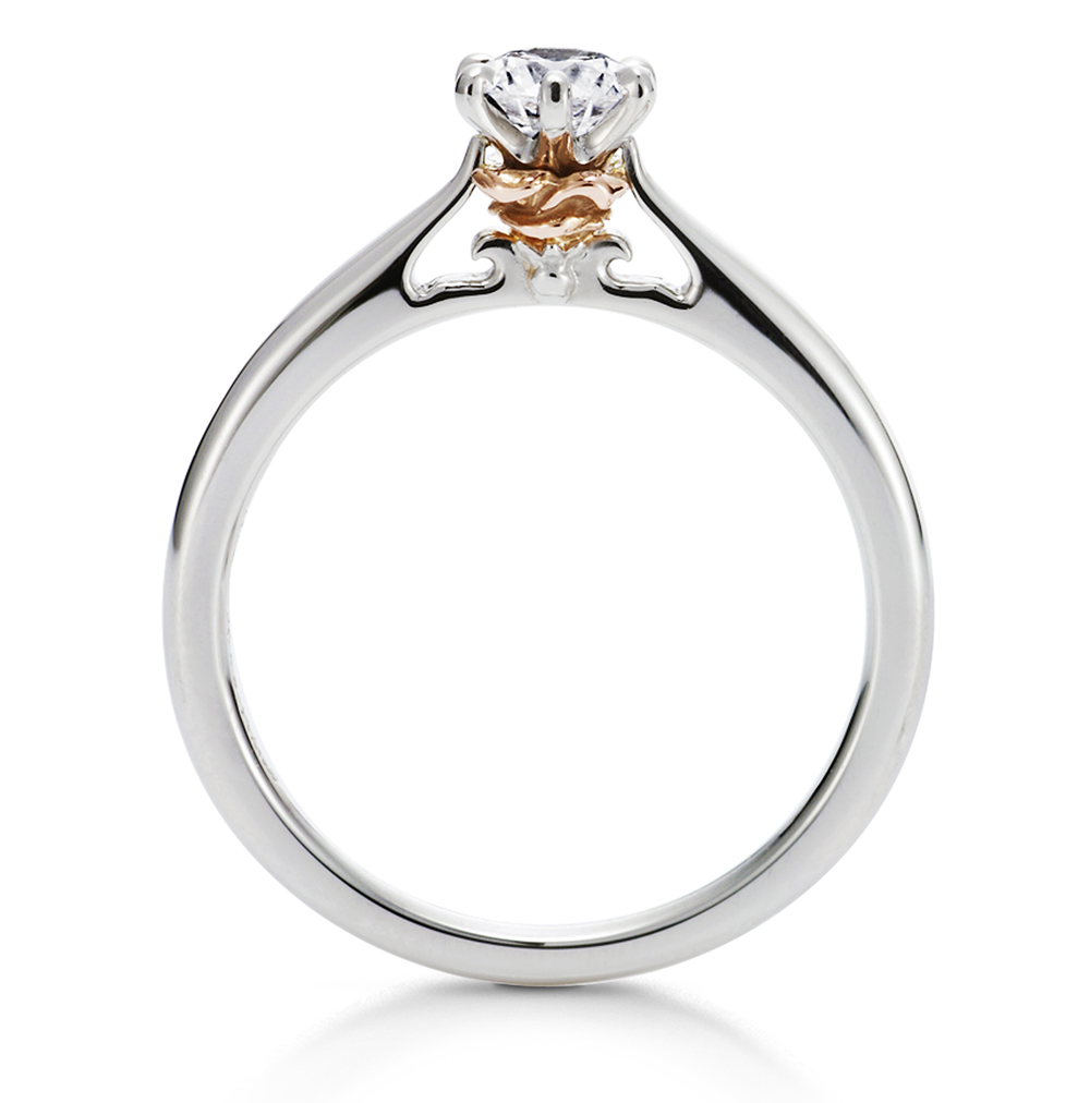 ディズニー プロポーズ応援サービス ケイウノ