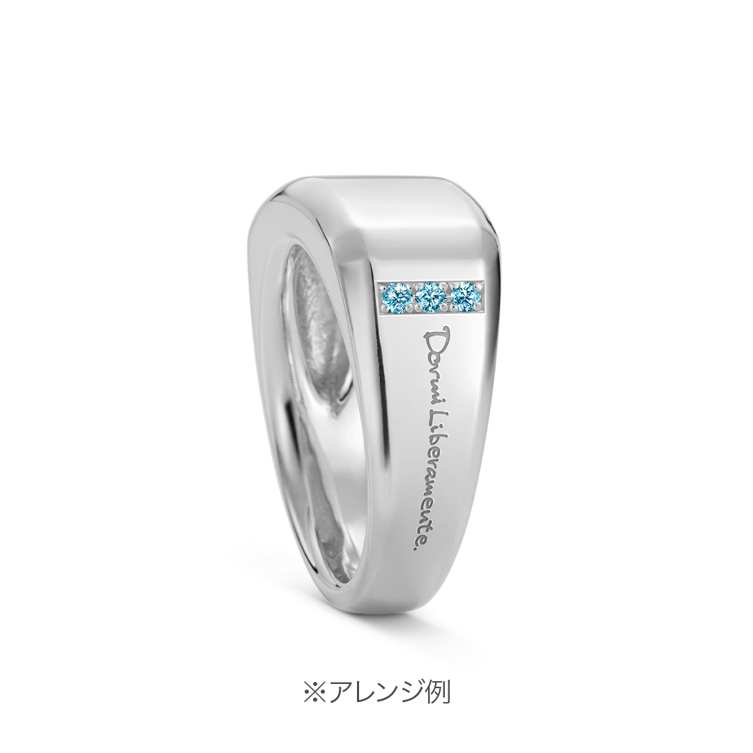 シグネットリング（ジェントル）20～30号[RS-657_RS-658]｜ファッションリング_2