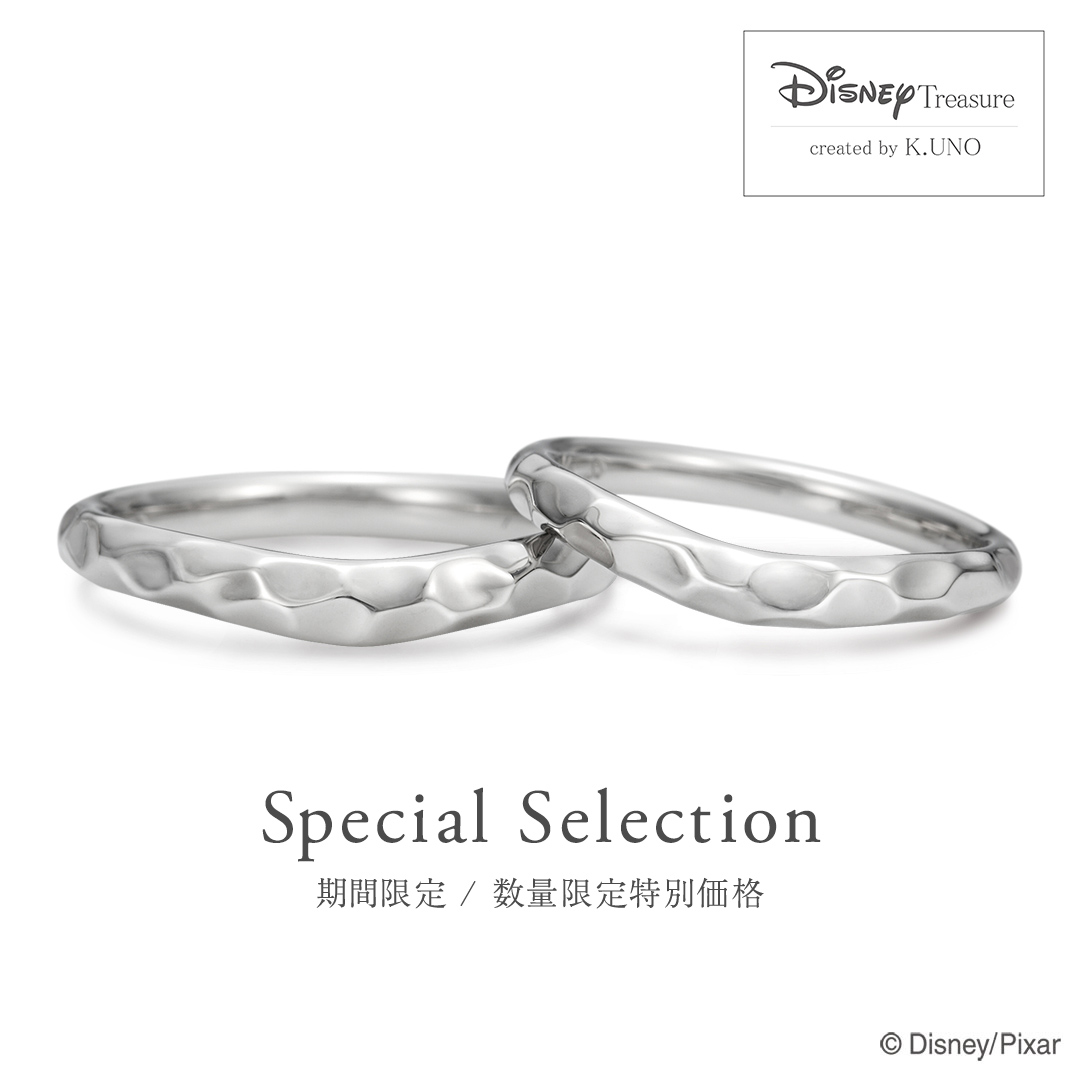 WEB限定 / 数量限定特別価格