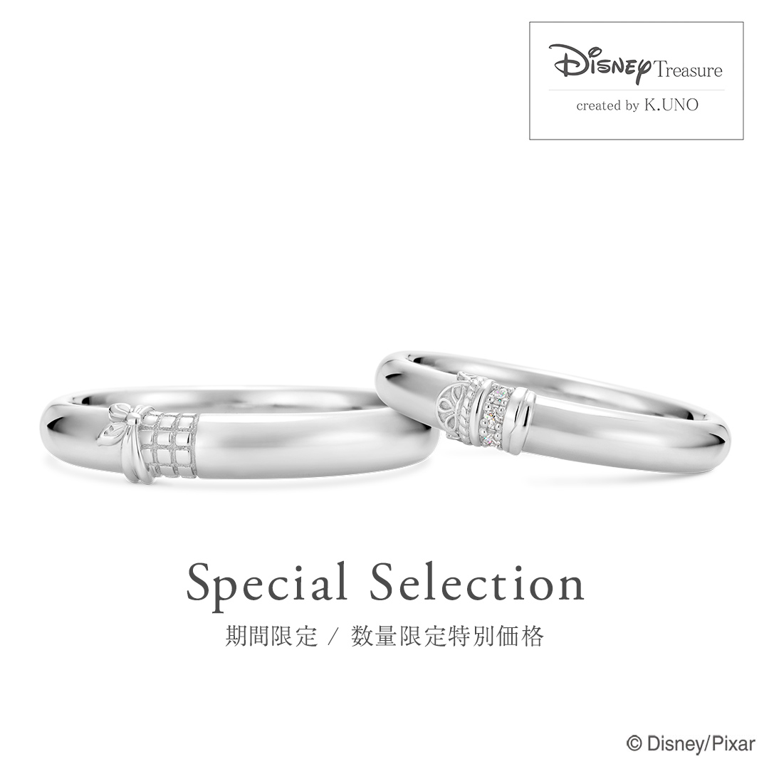 WEB限定 / 数量限定特別価格