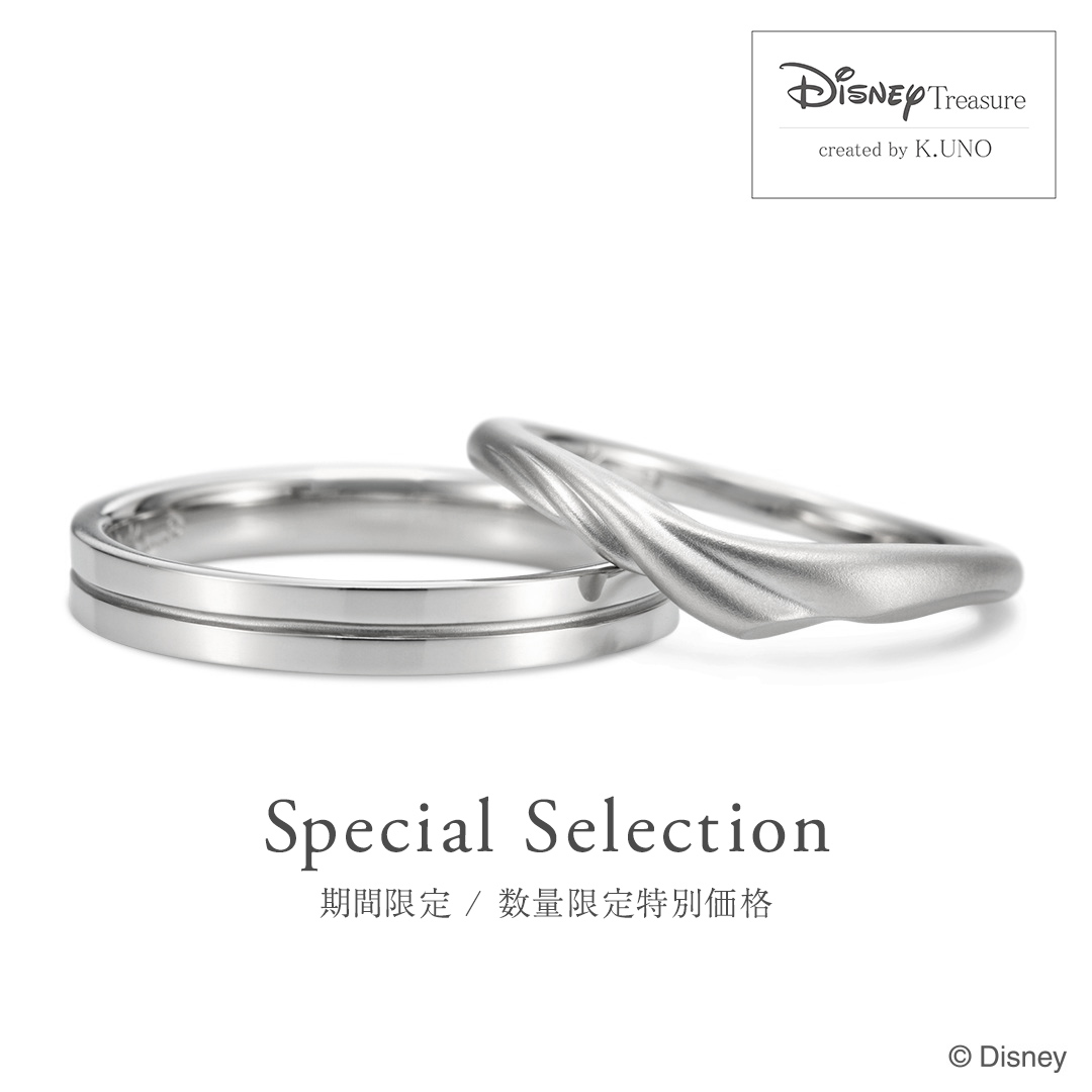 WEB限定 / 数量限定特別価格