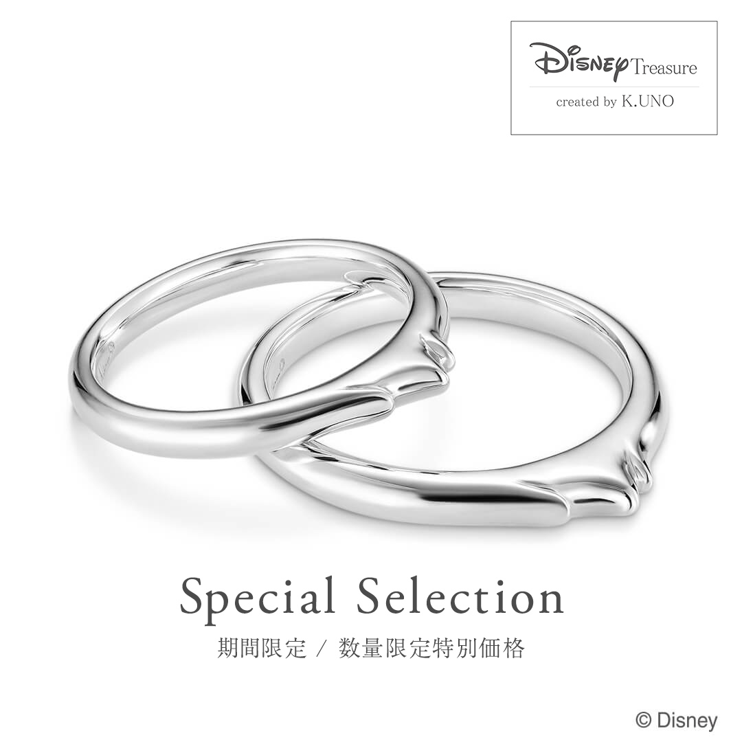 WEB限定 / 数量限定特別価格