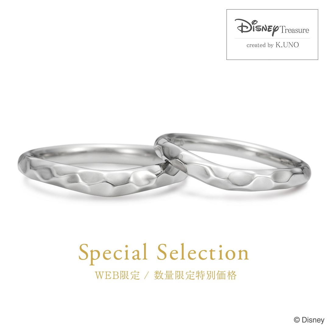 WEB限定 / 数量限定特別価格