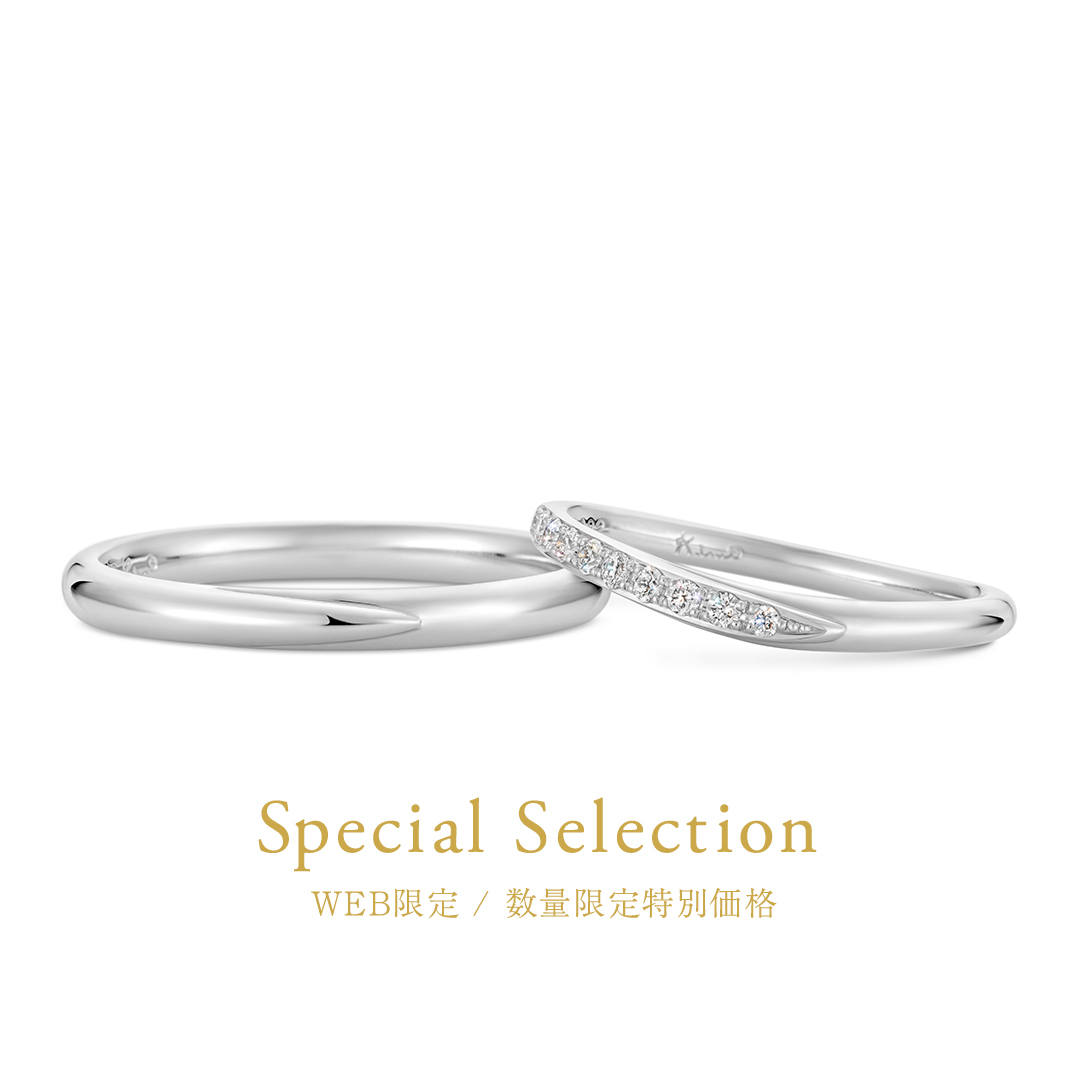 WEB限定 / 数量限定特別価格