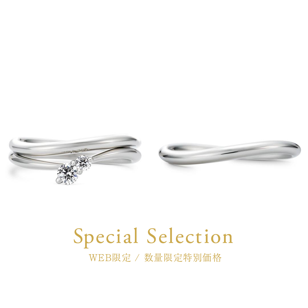 WEB限定 / 数量限定特別価格
