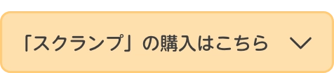スクランプ新作ネックレス購入